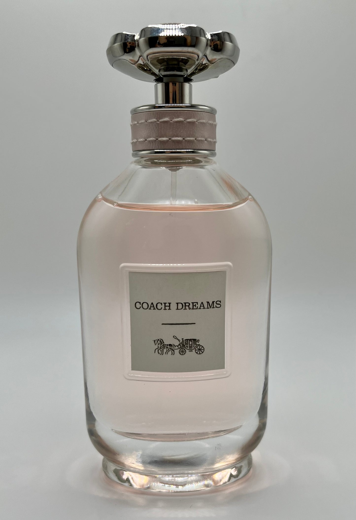 Coach Dreams